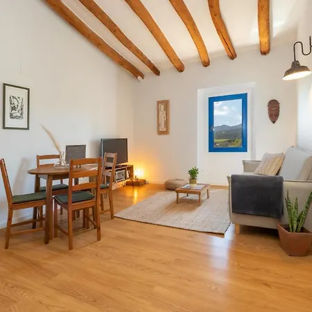 Mas Tinus - Laurel Apartment Santa Cristina d'Aro Exterior photo